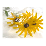PP Random® - Immagine 2