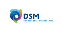 Logo DSM